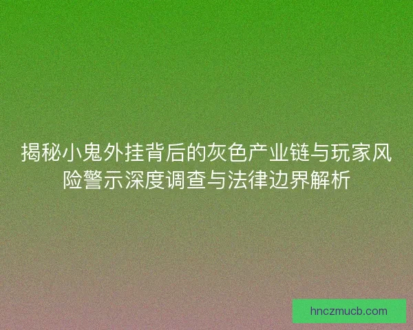 揭秘小鬼外挂背后的灰色产业链与玩家风险警示深度调查与法律边界解析